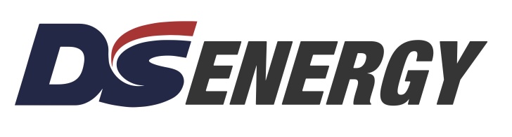 DSE Logo